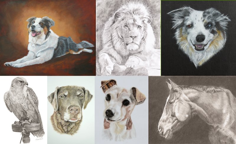 Robert Burke - Portraits & Art - a collection of pet and animal portraits