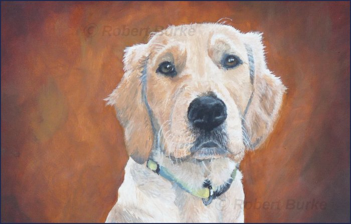 Robert Burke - Portraits & Art - Golden Retriever Pet portrait - Acrylic on Canvas